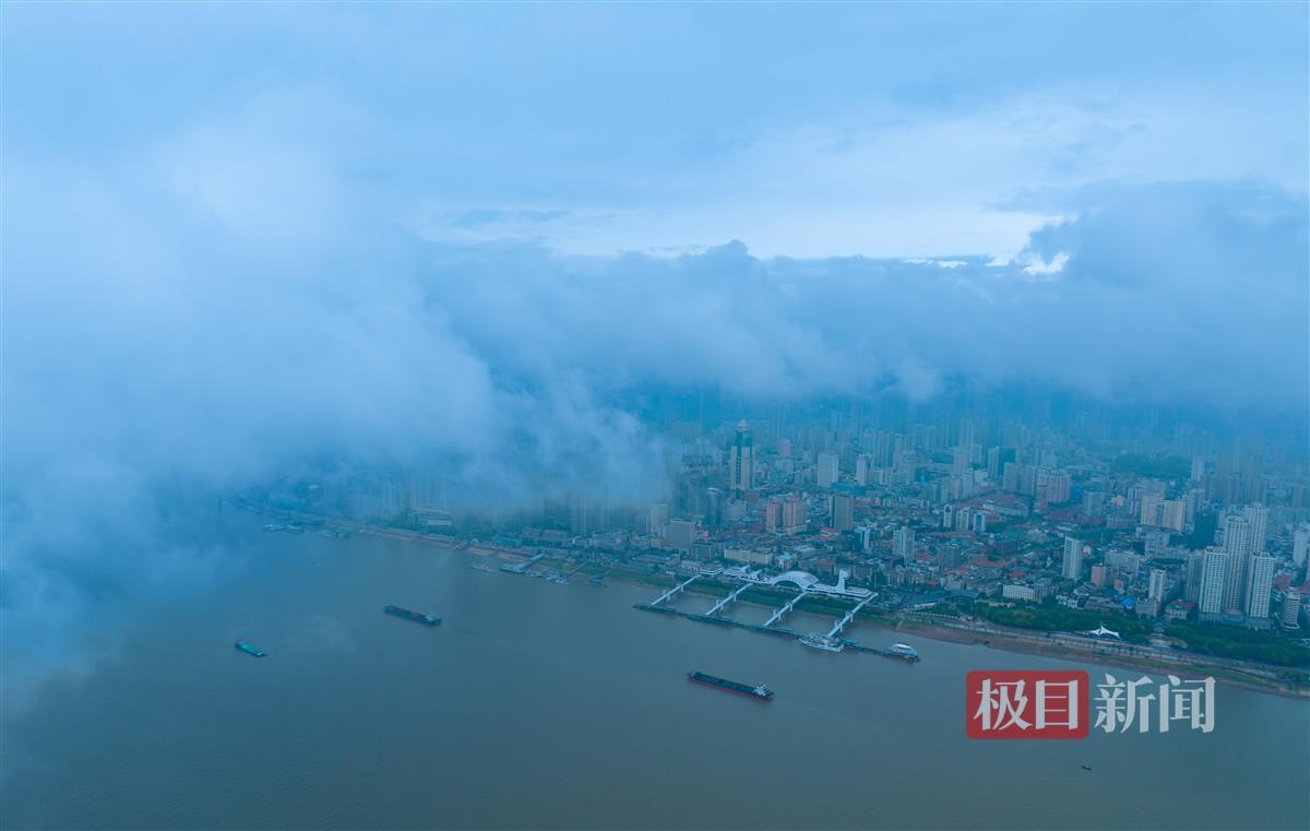 普京网站是多少